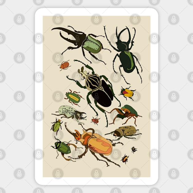 Beetle-mania! Magnet by DashingGecko